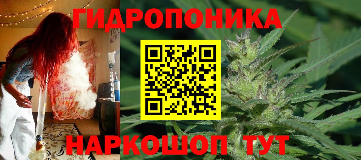Канабис марихуана Отрадный